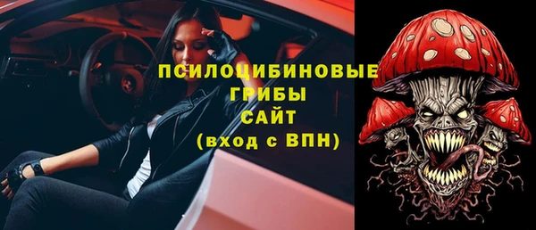 соль ск Арсеньев