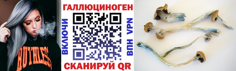 Псилоцибиновые грибы Psilocybe  Курганинск 